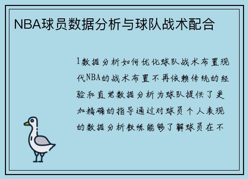 NBA球员数据分析与球队战术配合